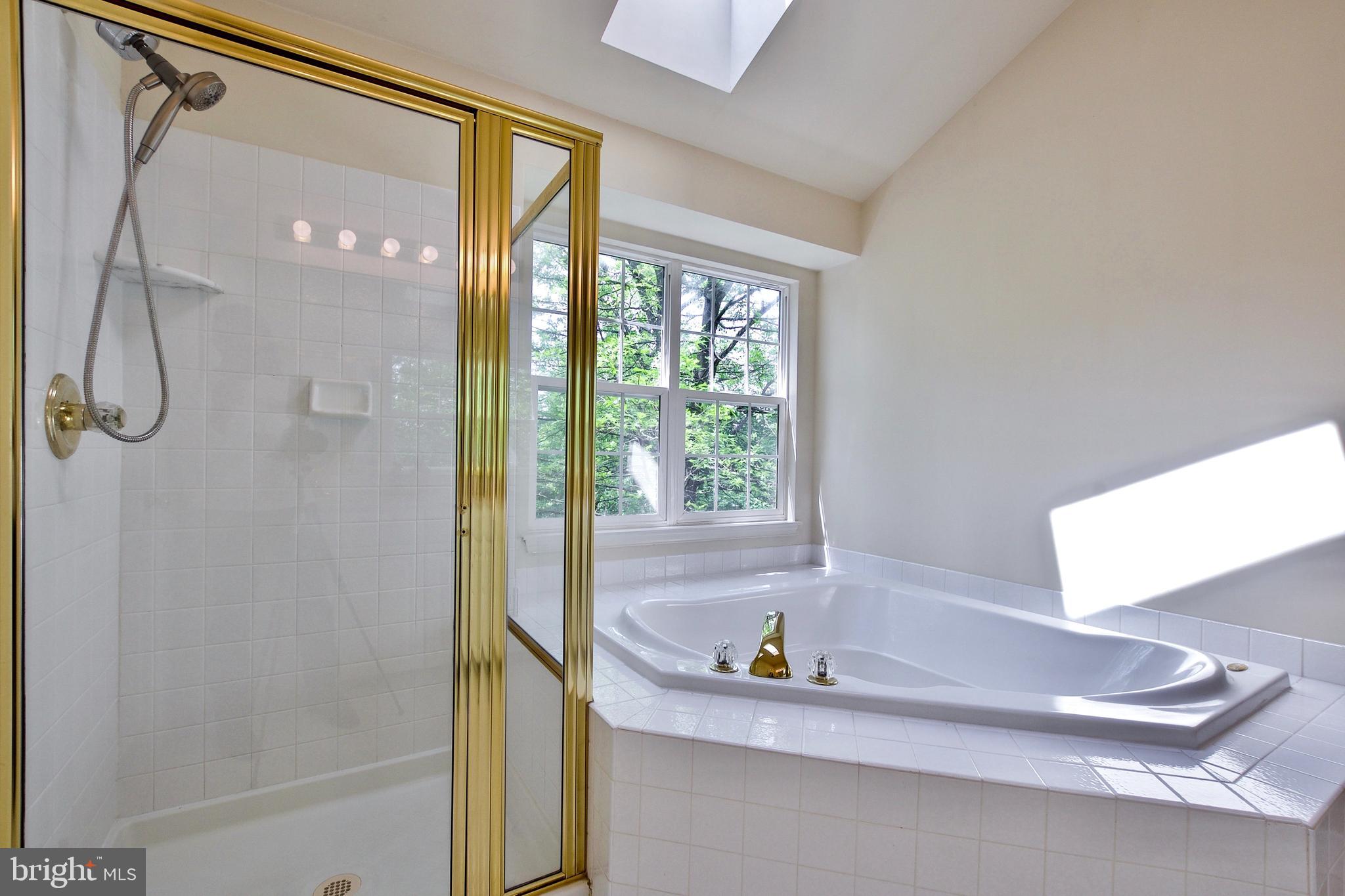 43581 DUNHILL CUP SQ