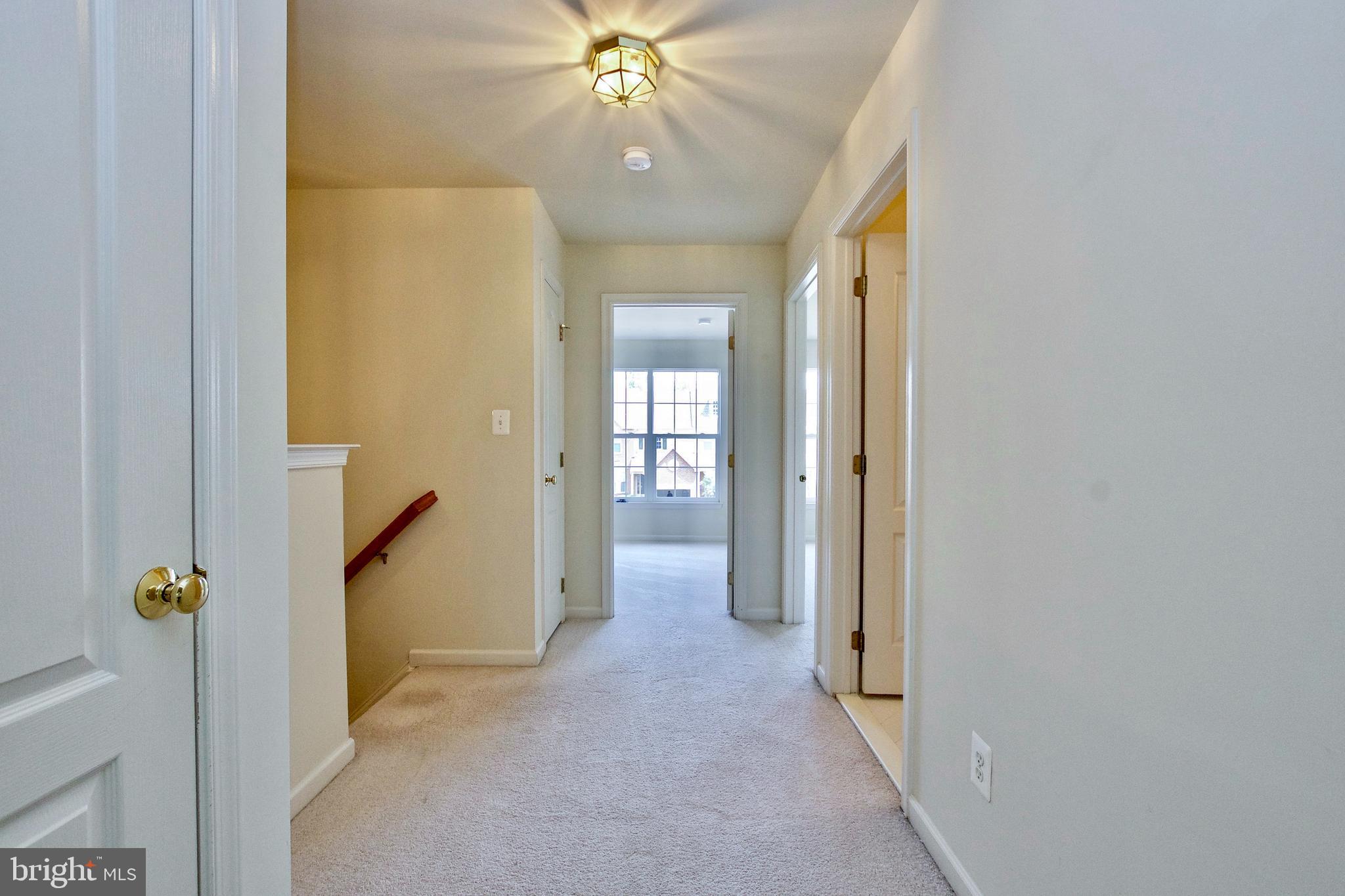 43581 DUNHILL CUP SQ