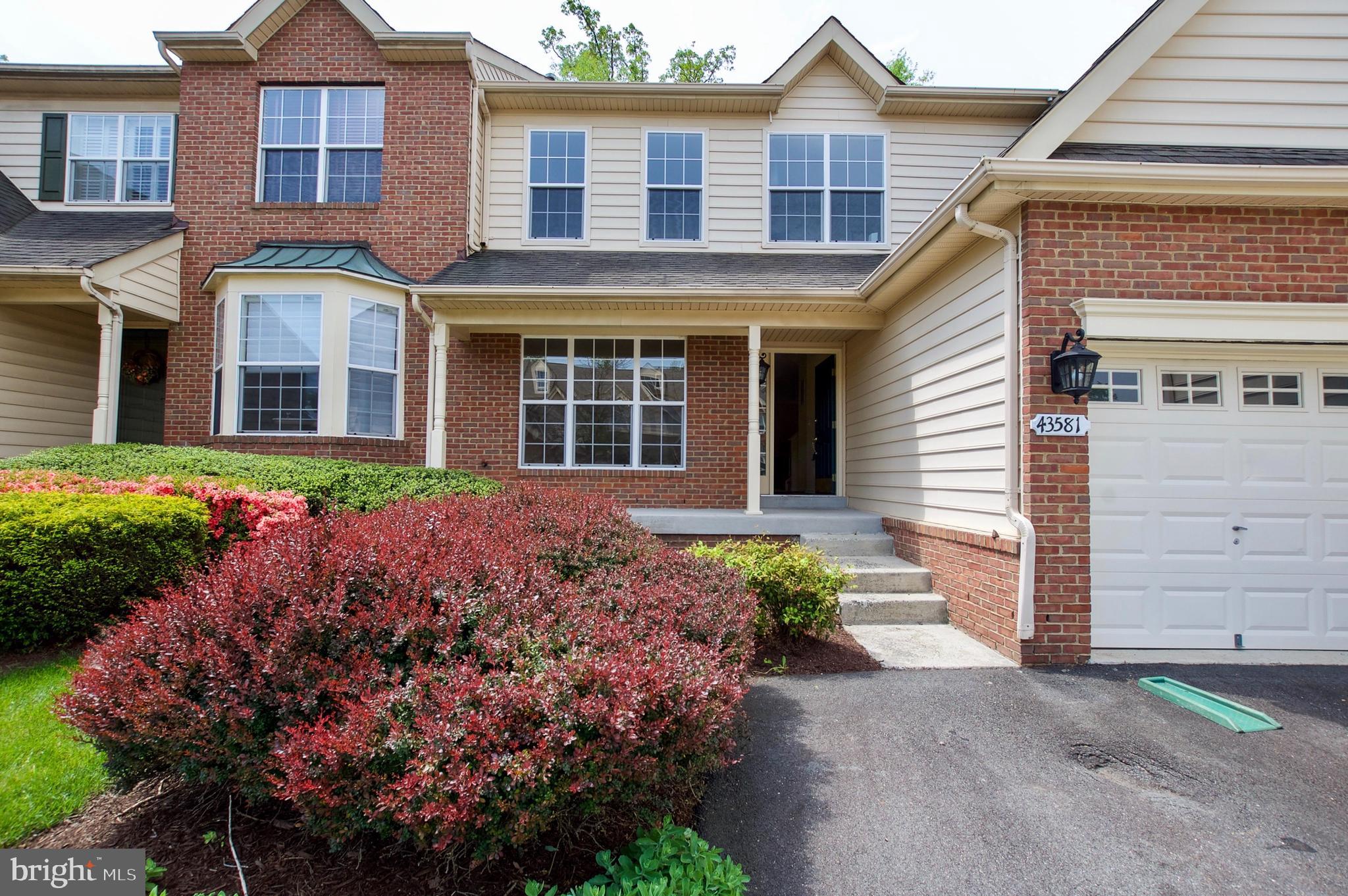 43581 DUNHILL CUP SQ