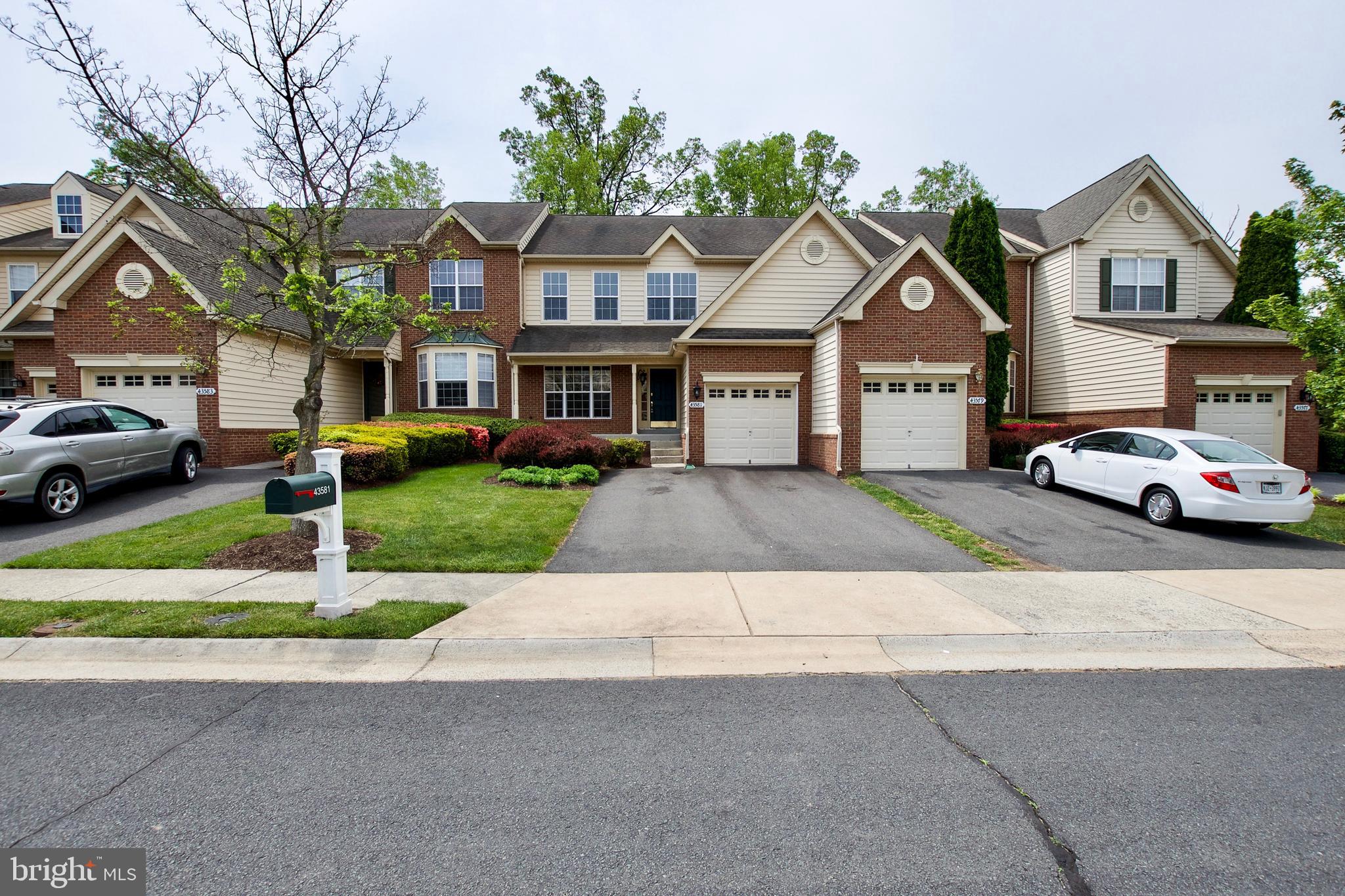 43581 DUNHILL CUP SQ