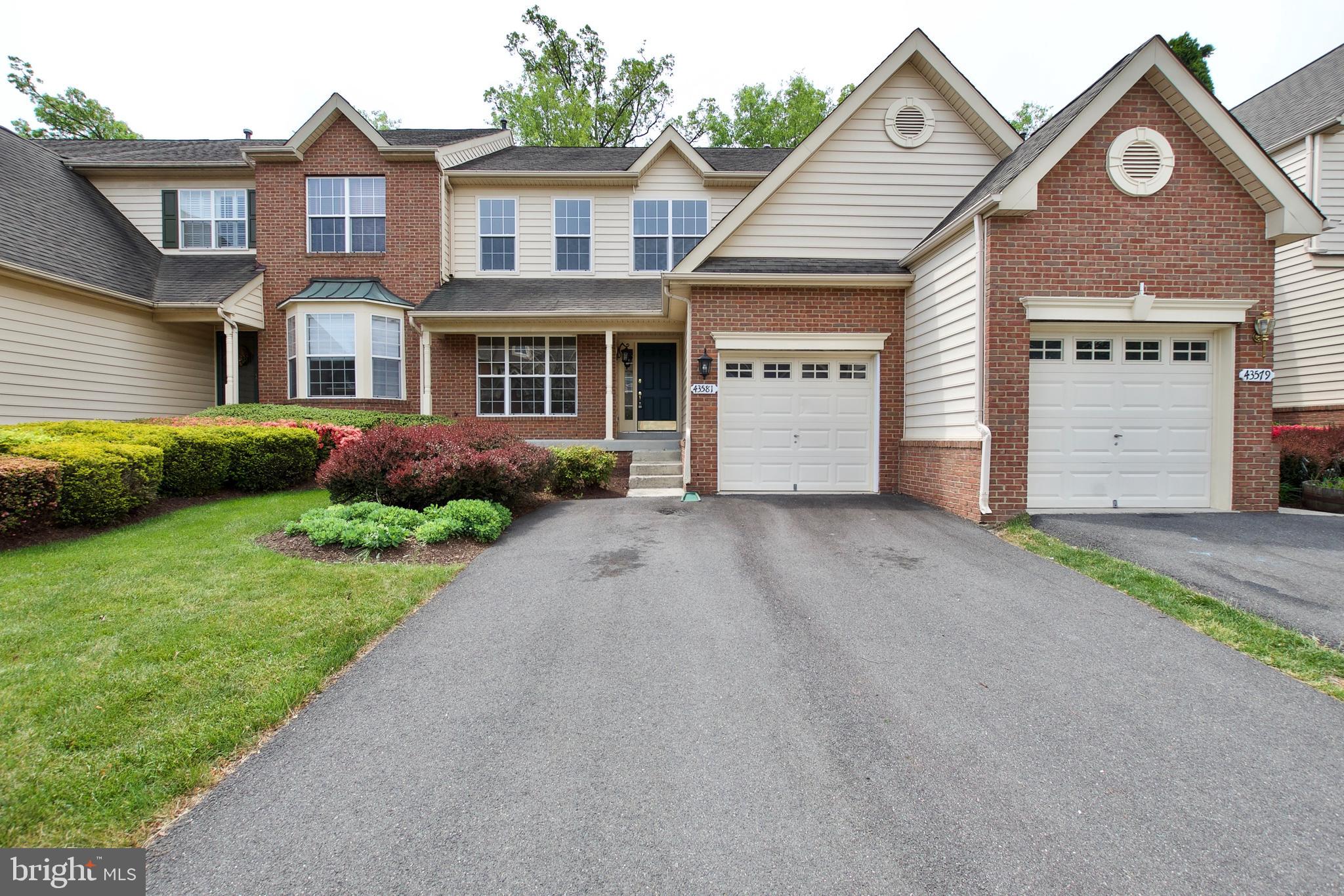 43581 DUNHILL CUP SQ