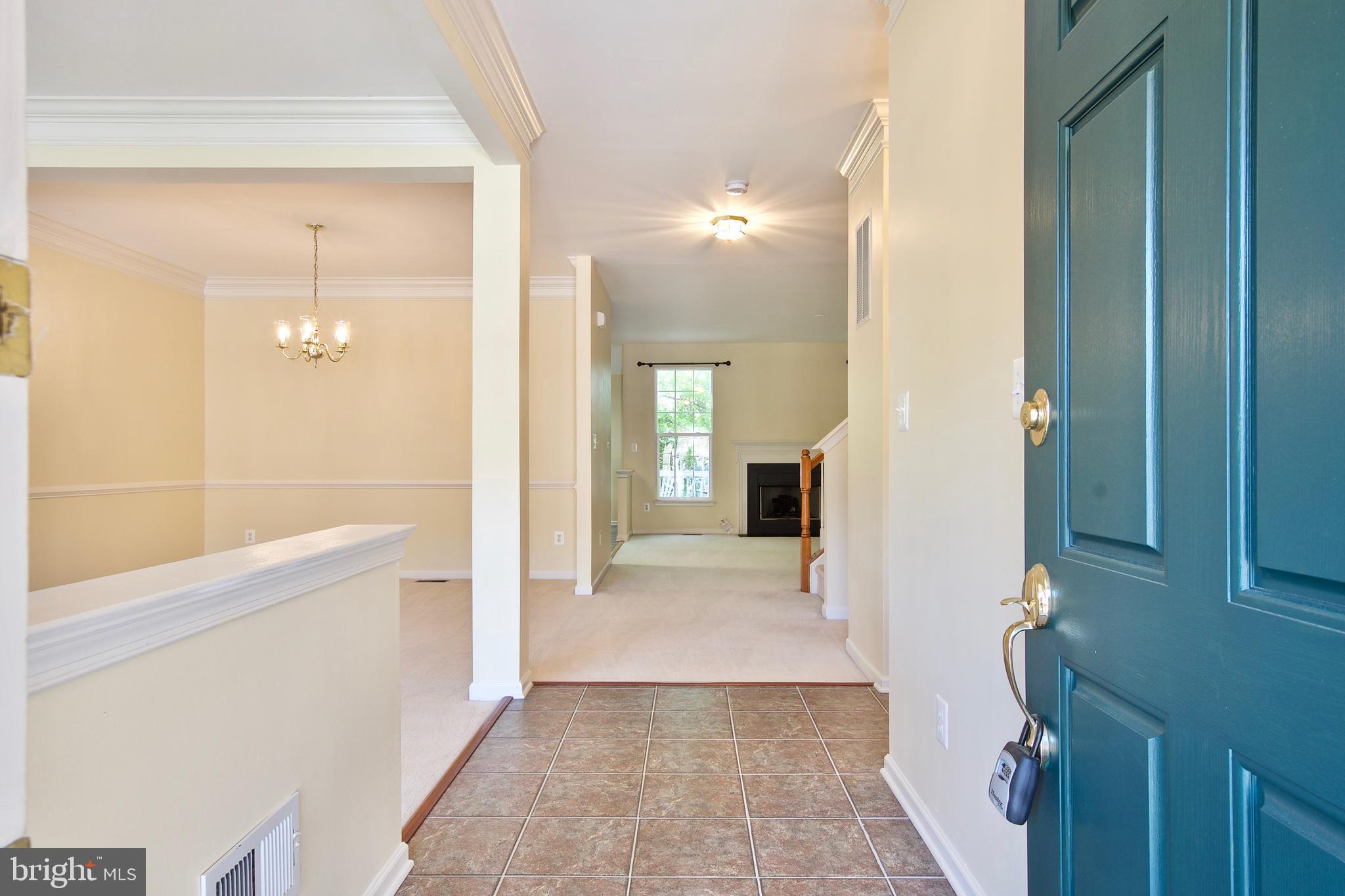 43581 DUNHILL CUP SQ