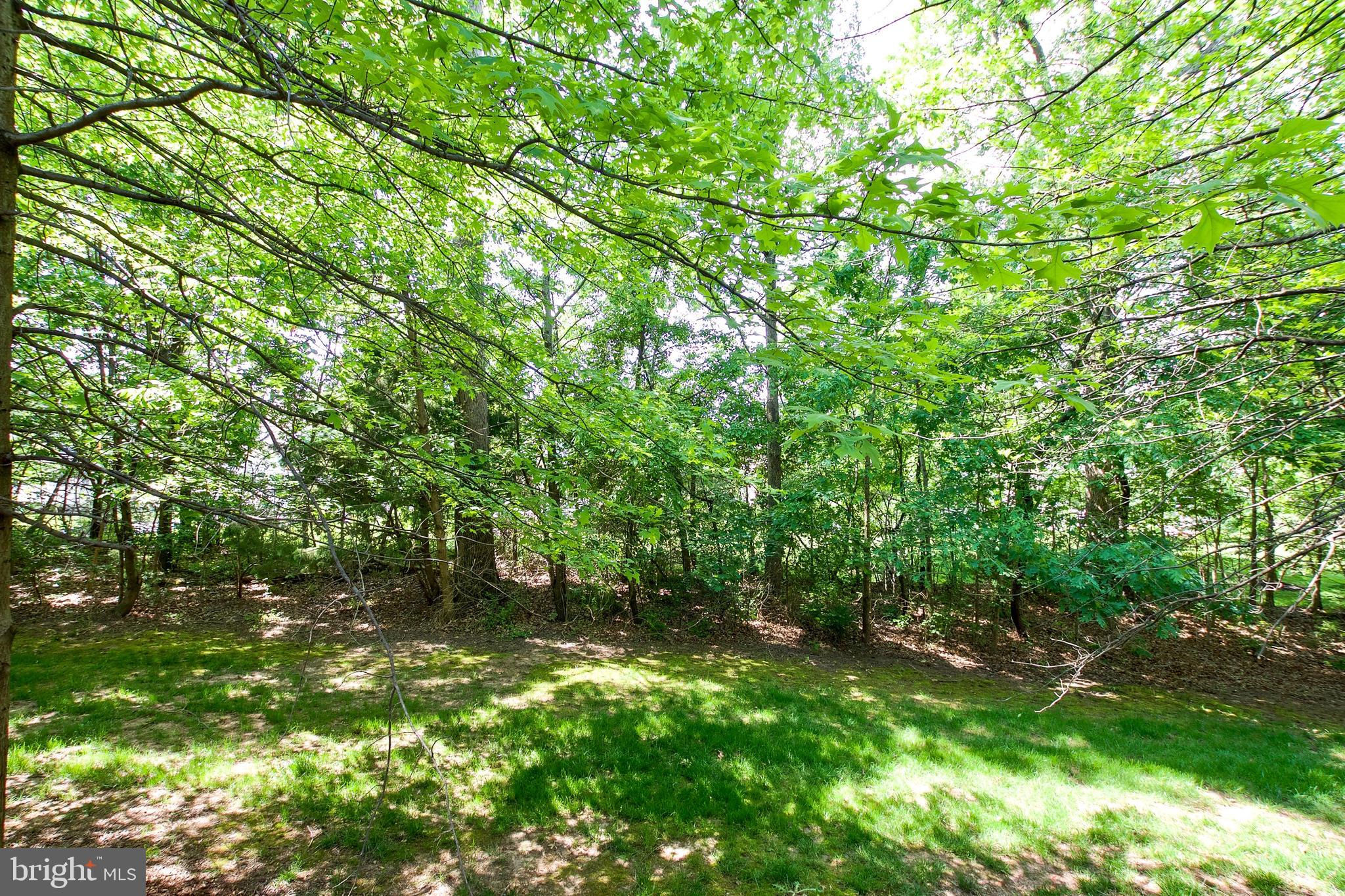 43581 DUNHILL CUP SQ