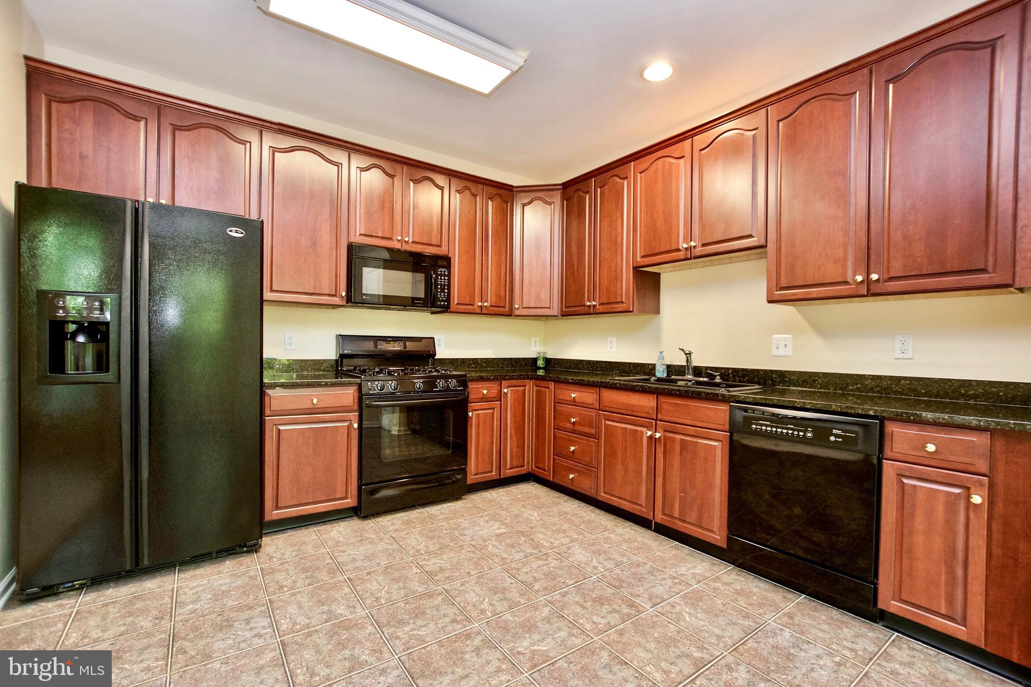 43581 DUNHILL CUP SQ