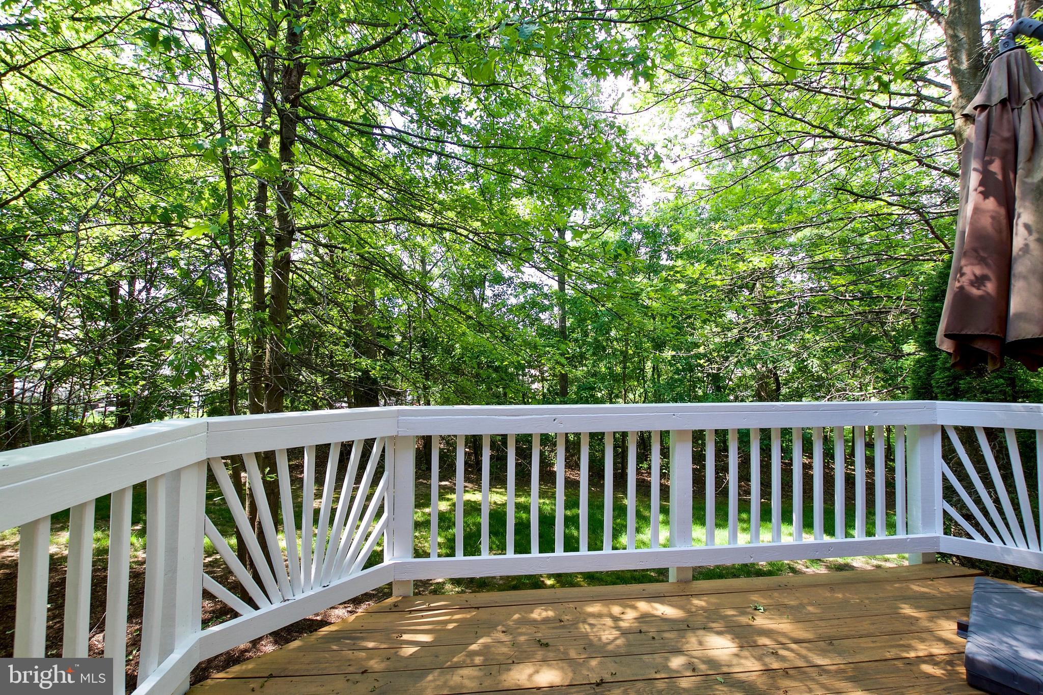 43581 DUNHILL CUP SQ