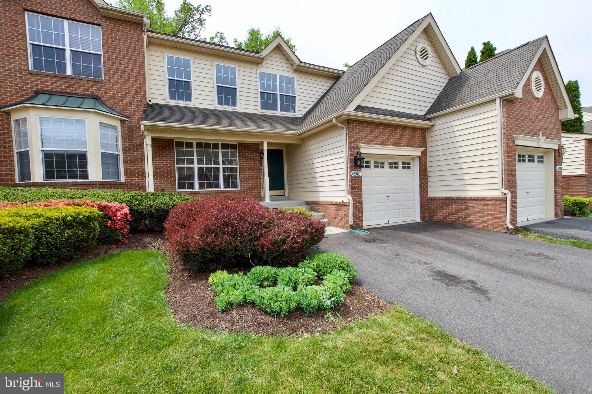 43581 DUNHILL CUP SQ