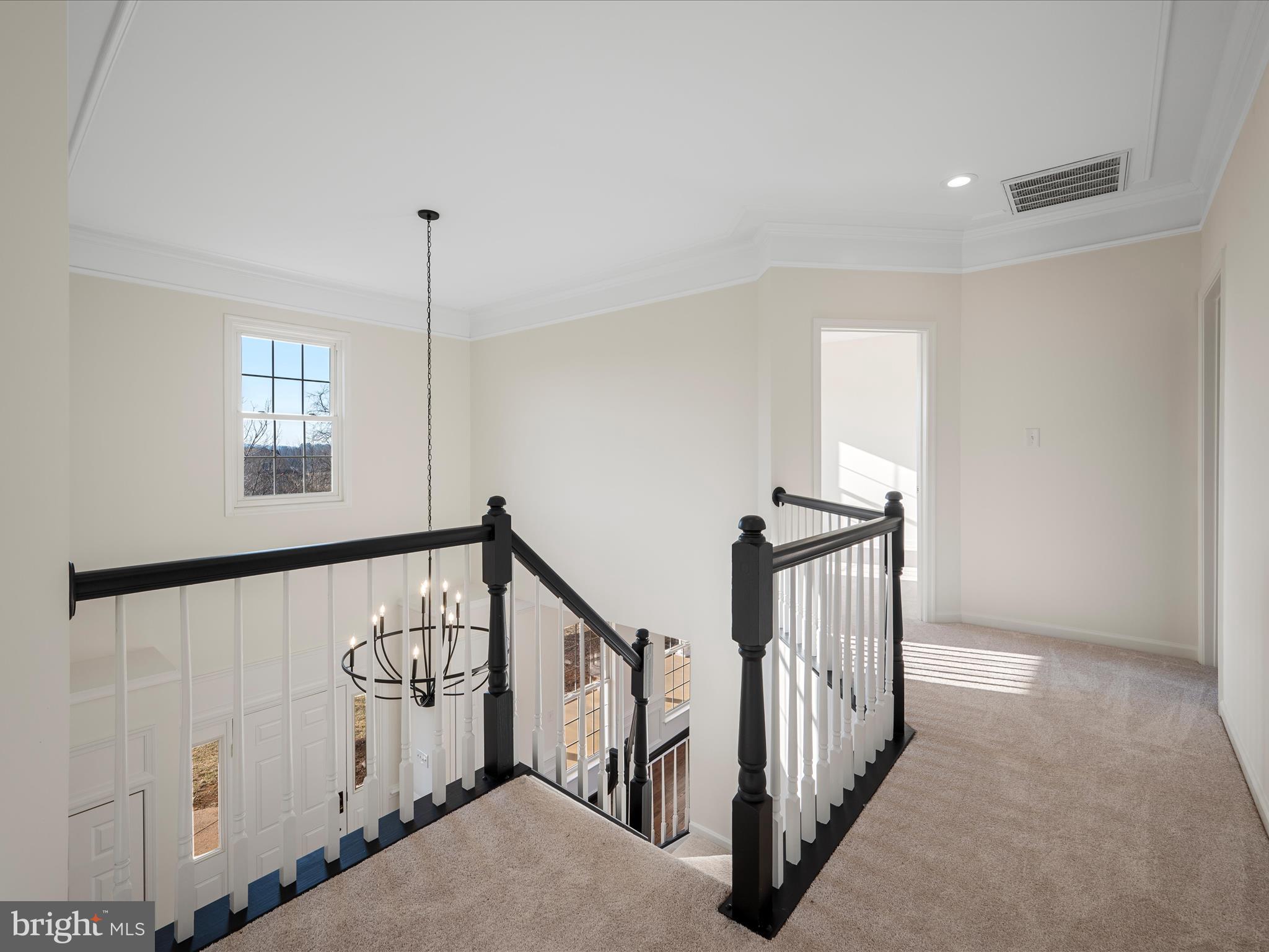 11517 Mica Pl