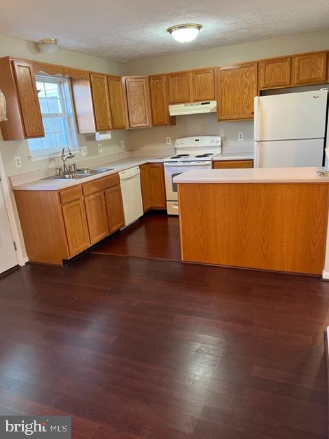 2903 SORRELL CT