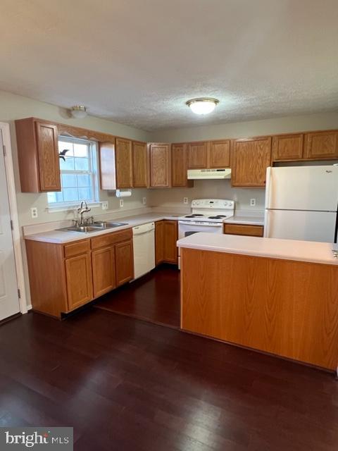 2903 SORRELL CT