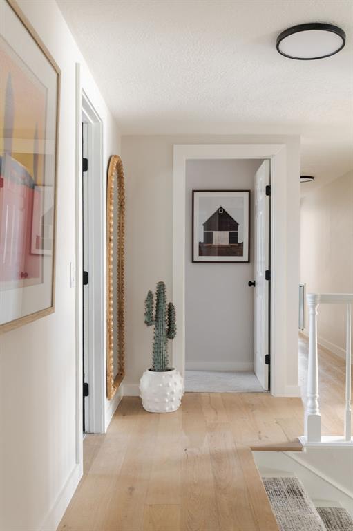 12213 Greystone Terrace