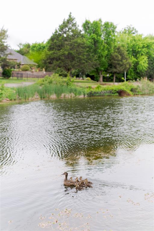 2680 S Loblolly Lane