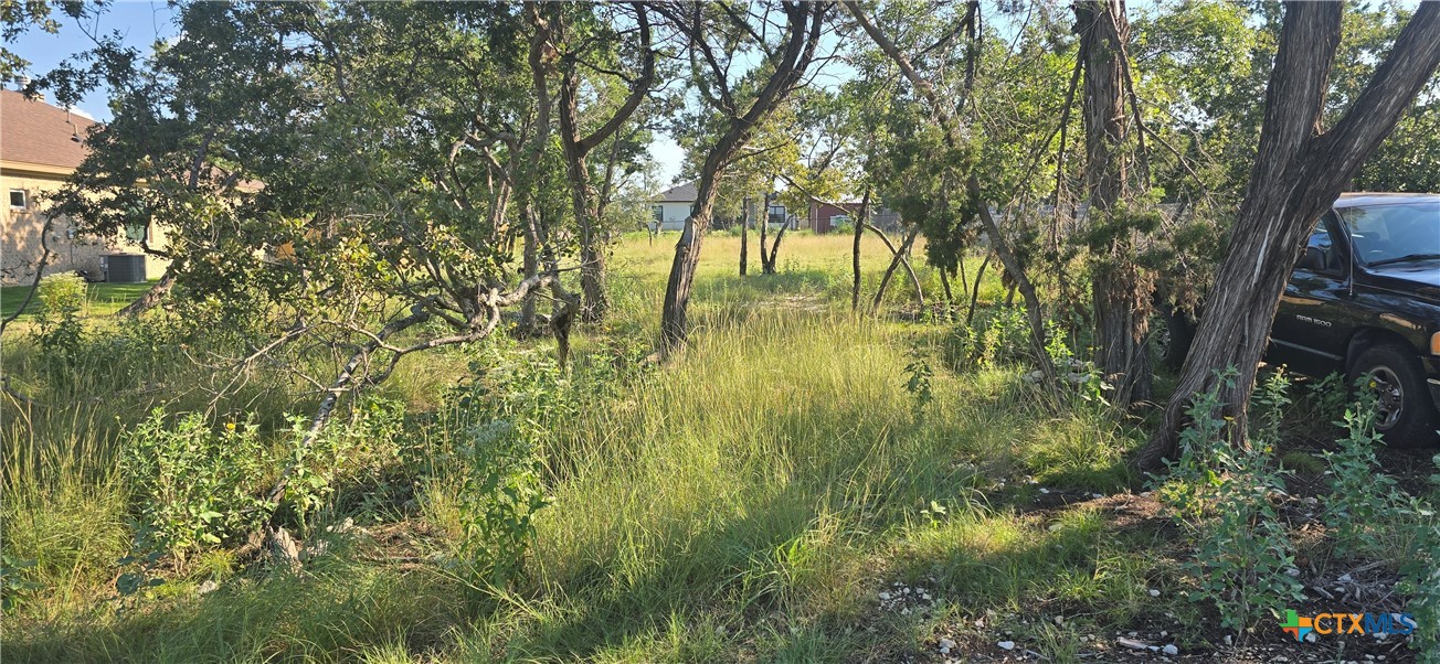 15939 Salado Drive