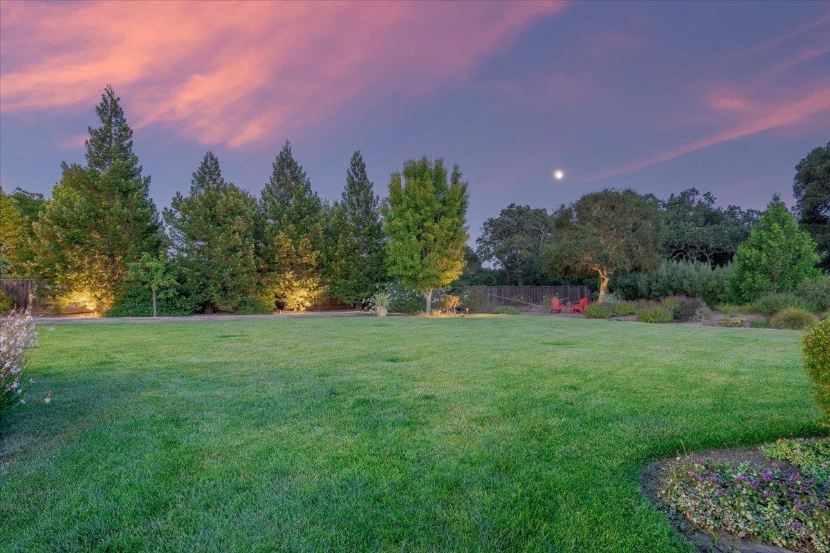 8859 Poppy LN