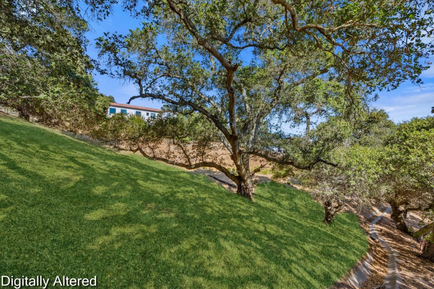 8951 Tea Tree WAY