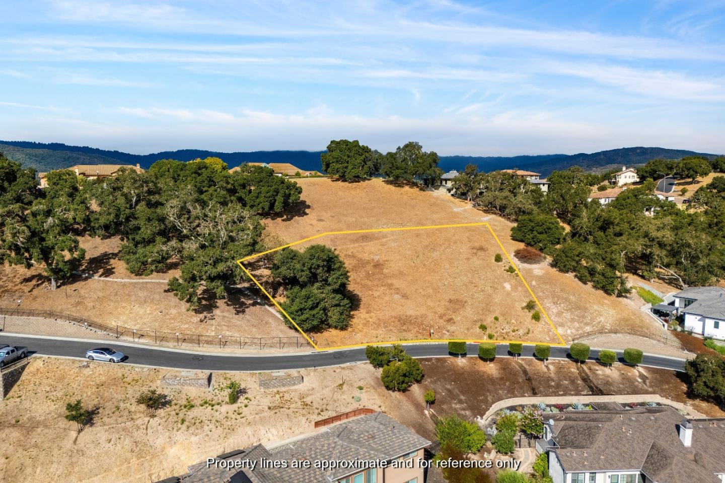 8983 Mimosa CT