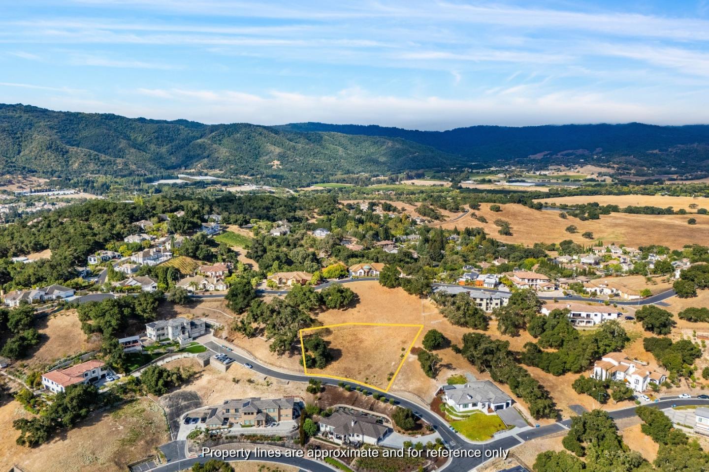8983 Mimosa CT