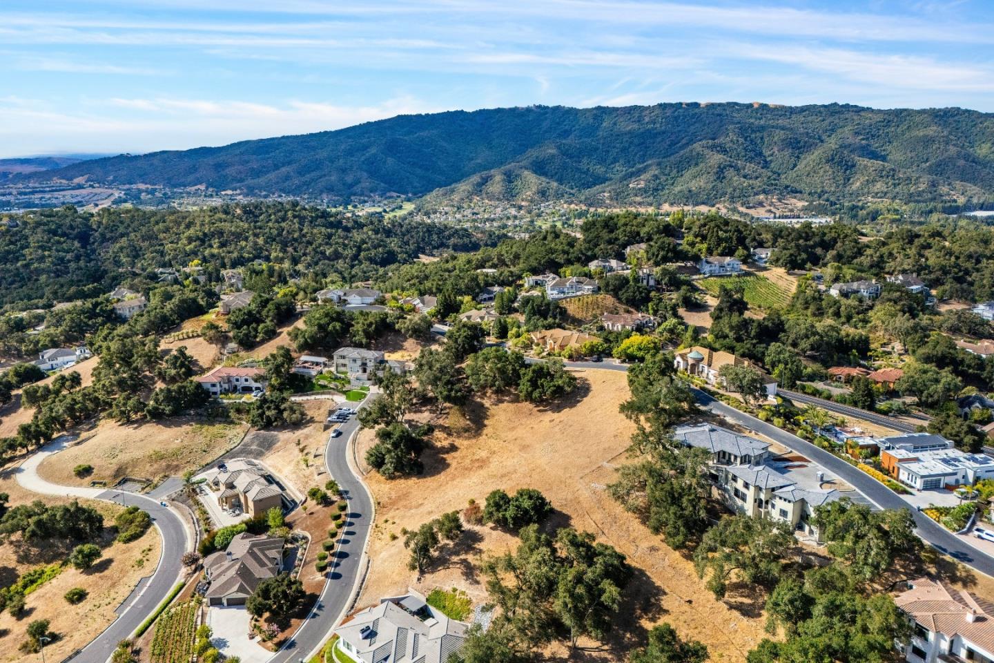 8983 Mimosa CT