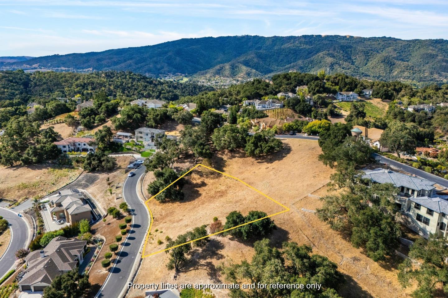 8983 Mimosa CT