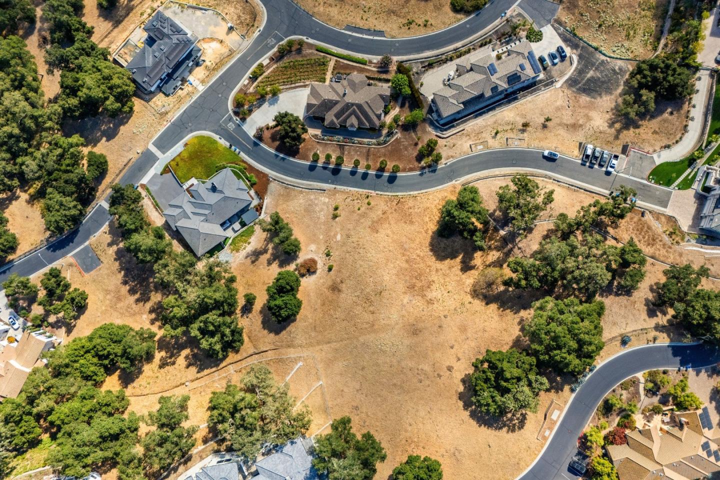 8983 Mimosa CT