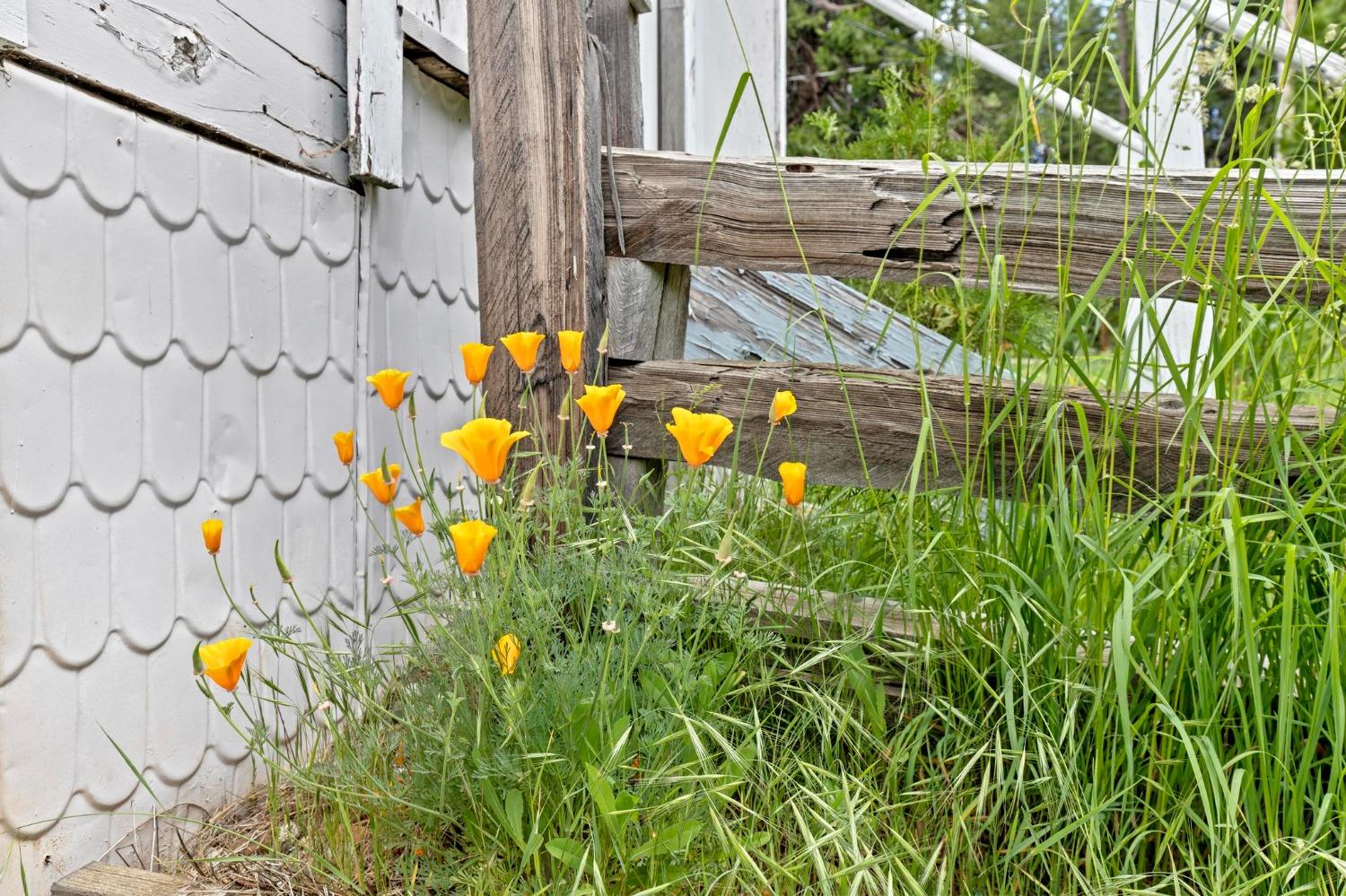 13423 Quincy La Porte Road