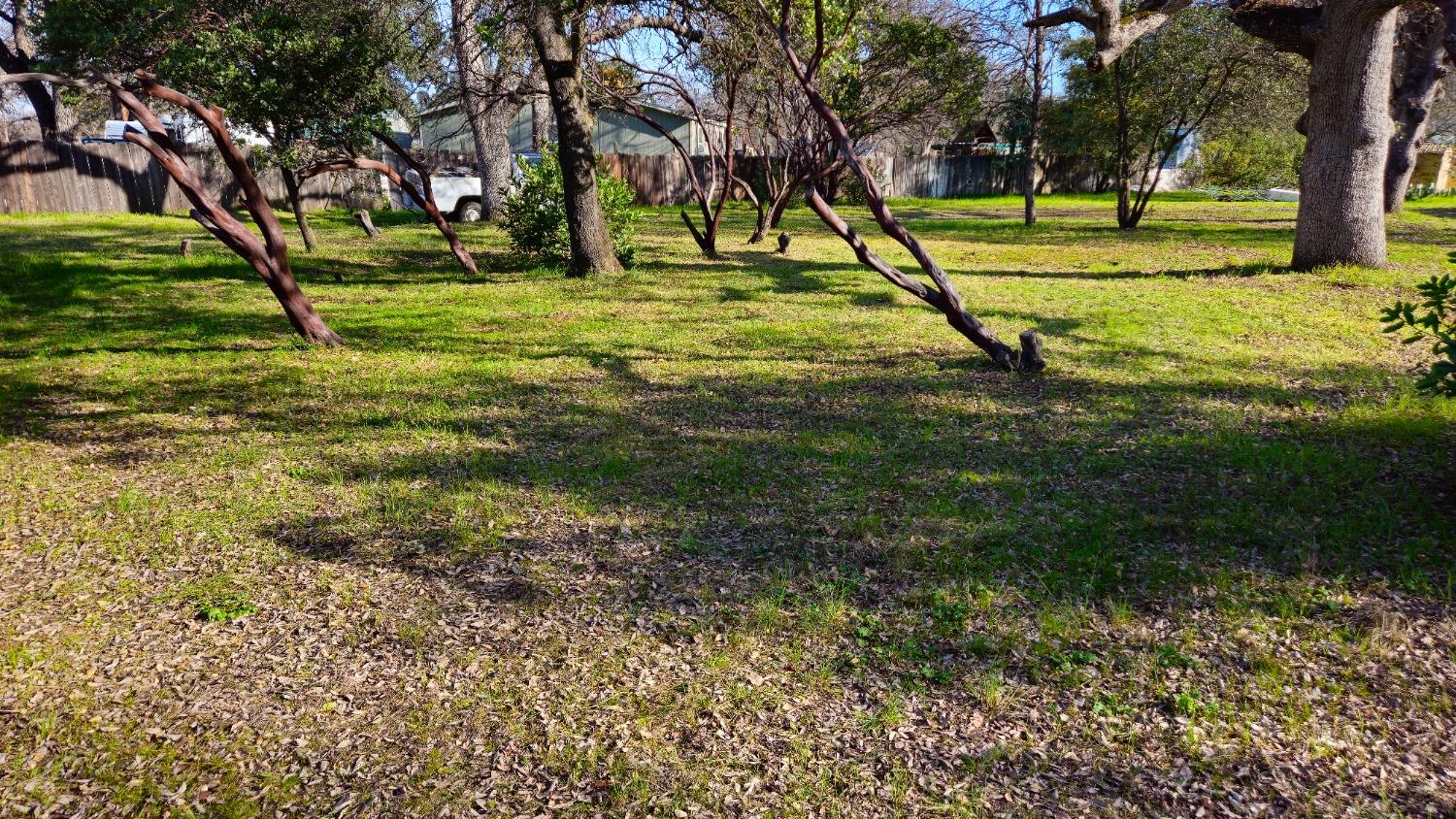 16775 Elder Creek Circle