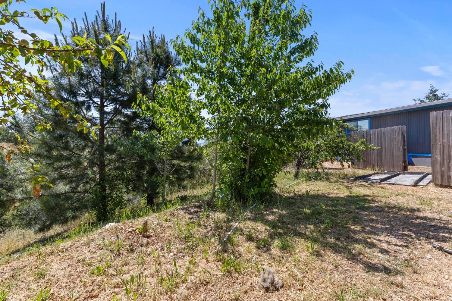 347 Yankee Vista Drive