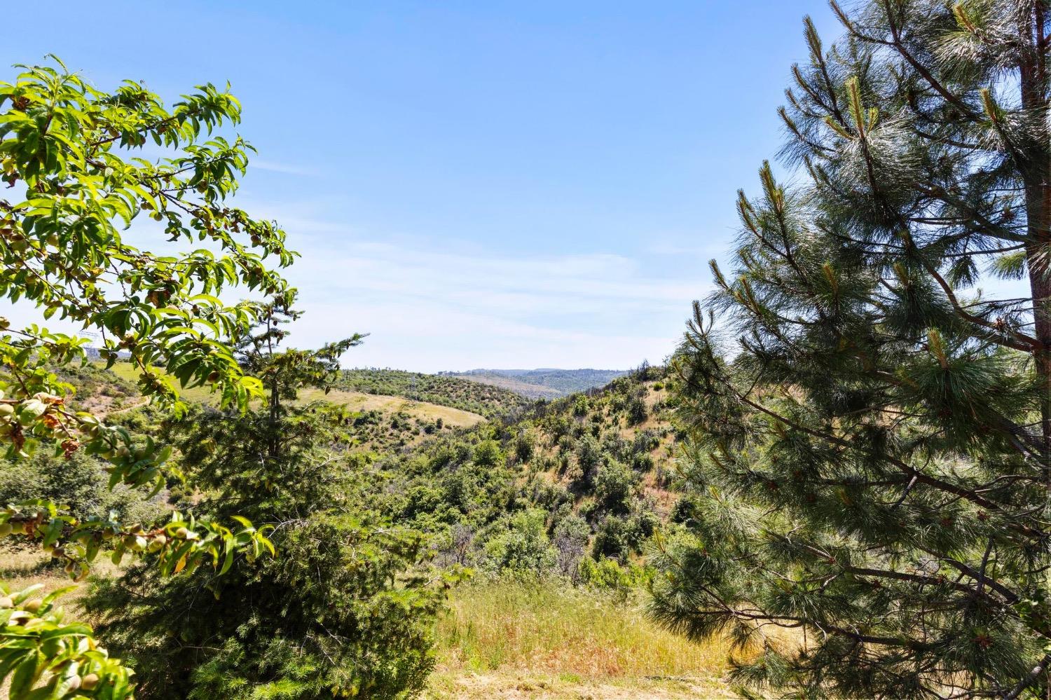 347 Yankee Vista Drive