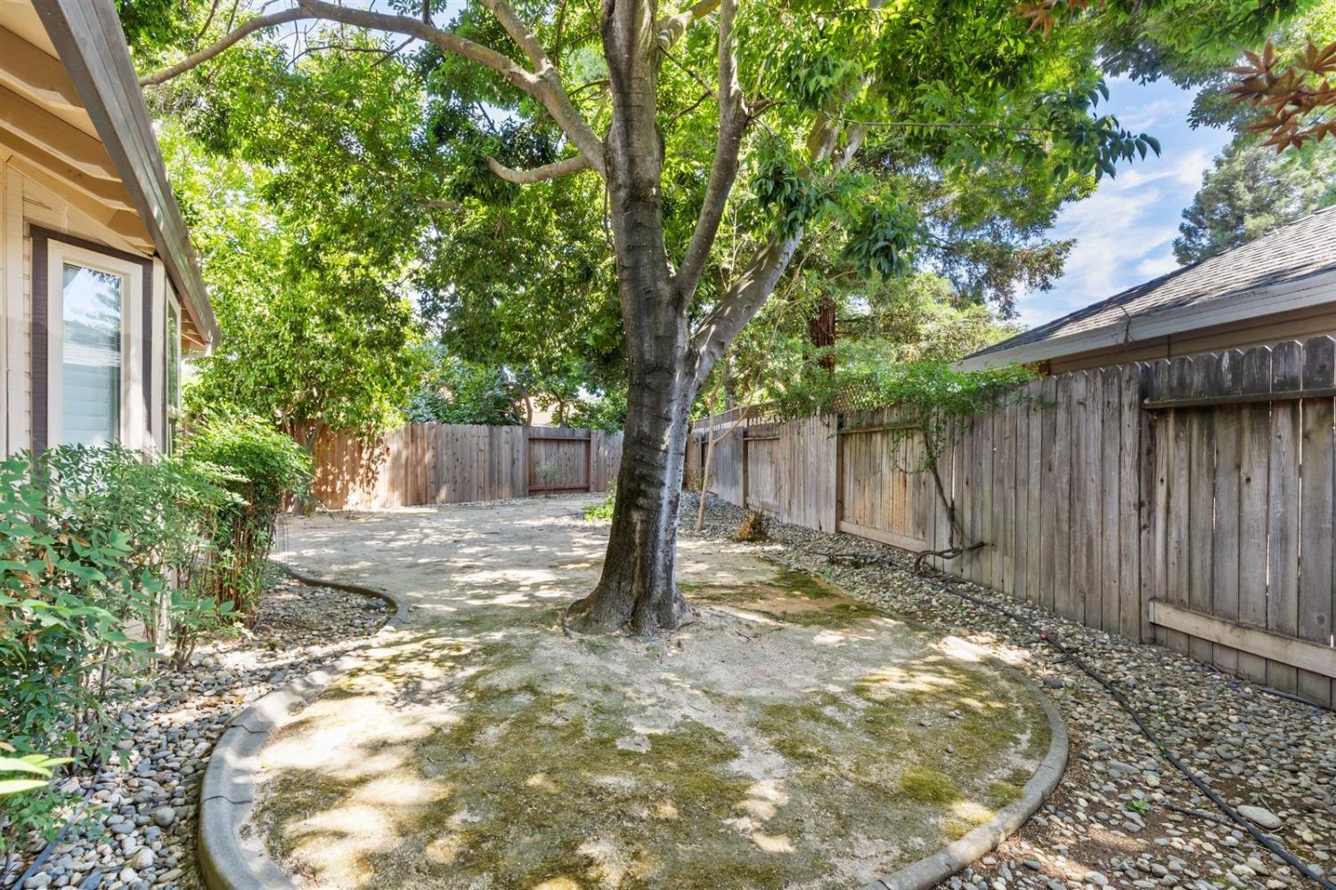 1446 Saint John Court