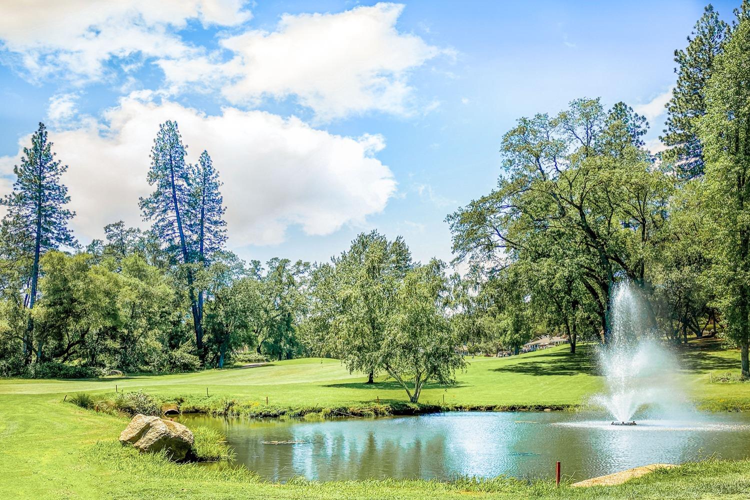 12004 Lake Wildwood Drive