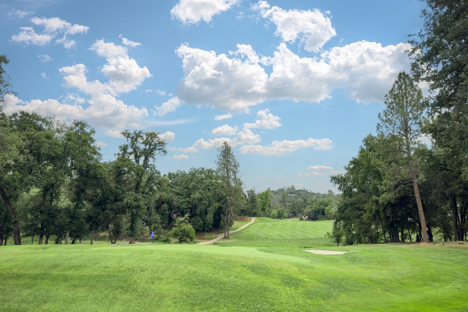 12004 Lake Wildwood Drive