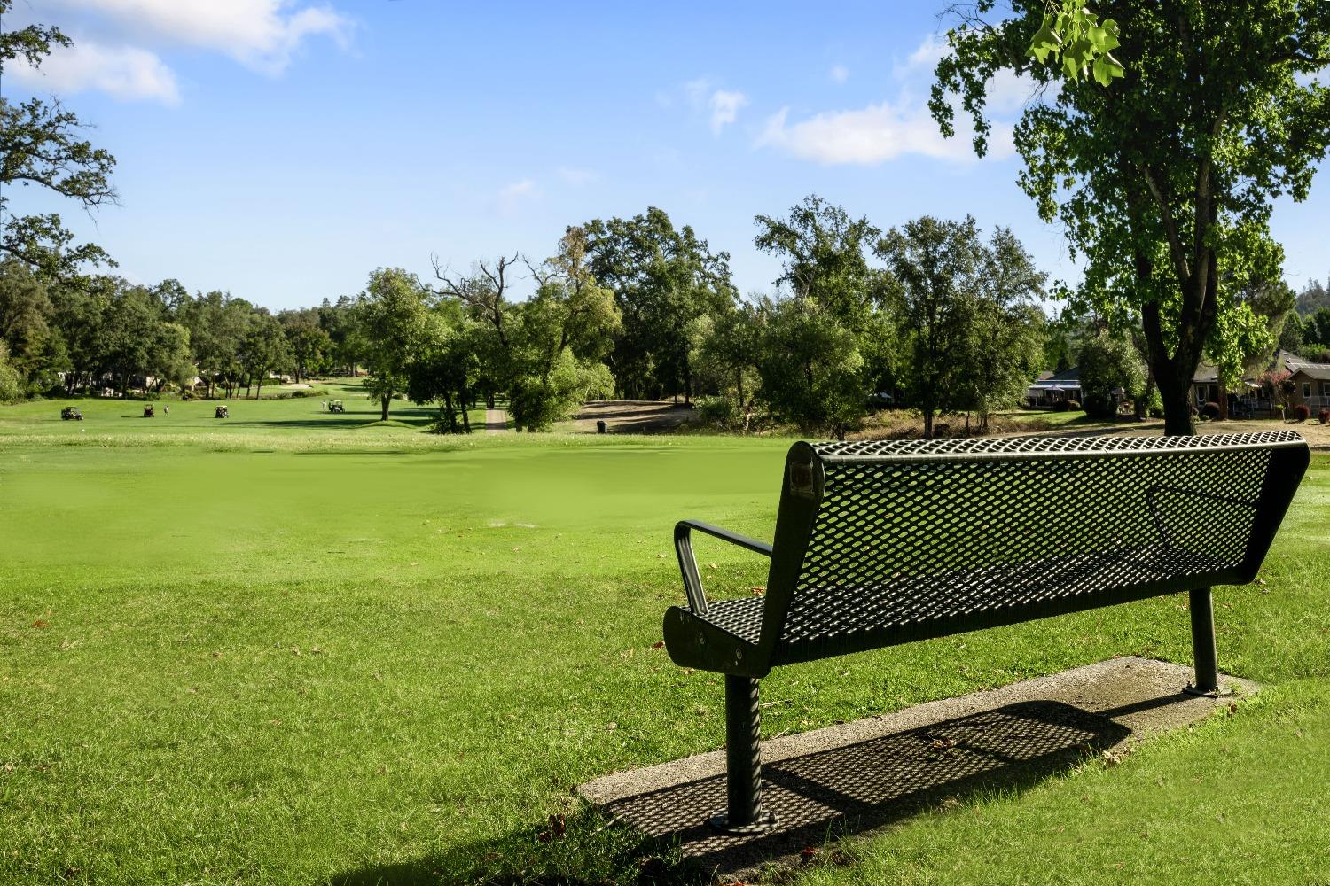 12004 Lake Wildwood Drive