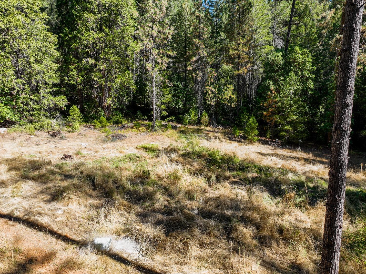 17193 Oregon Hill Road