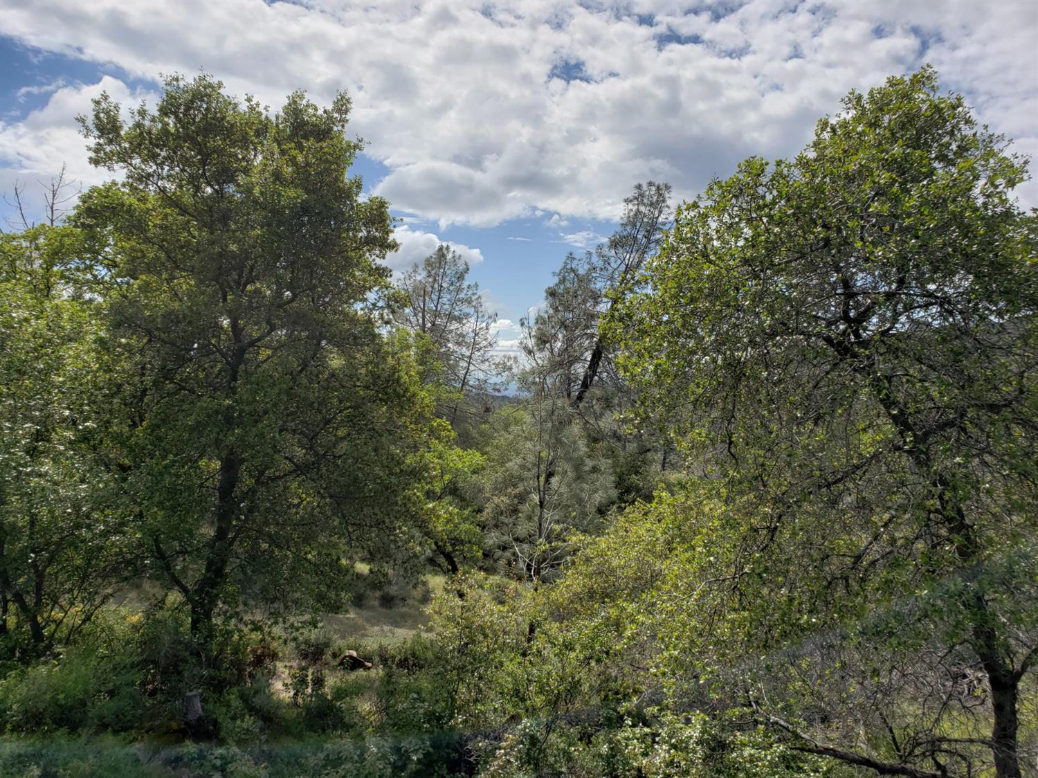 0 Eagle Nest Way