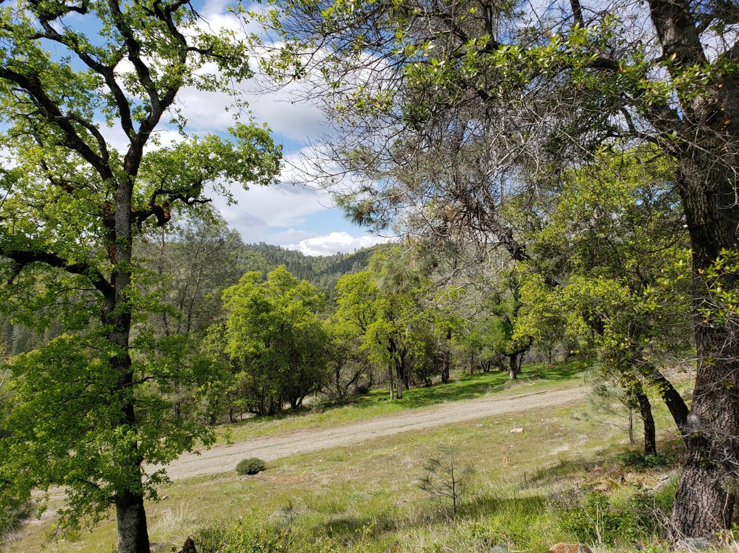 0 Eagle Nest Way