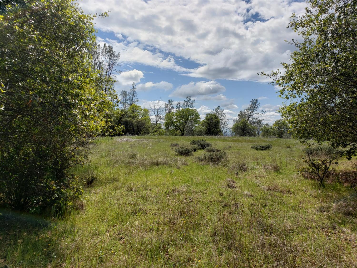 0 Eagle Nest Way