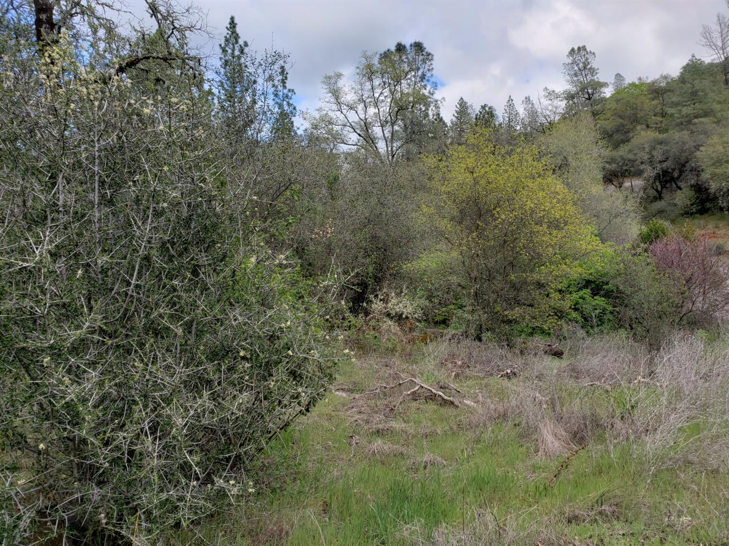 0 Eagle Nest Way