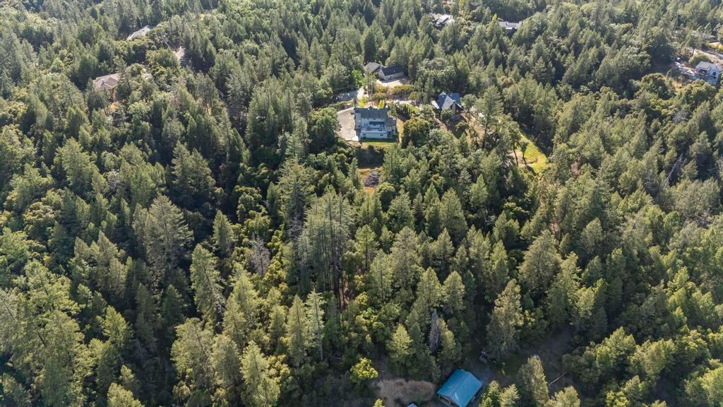 22160 Winchester Way