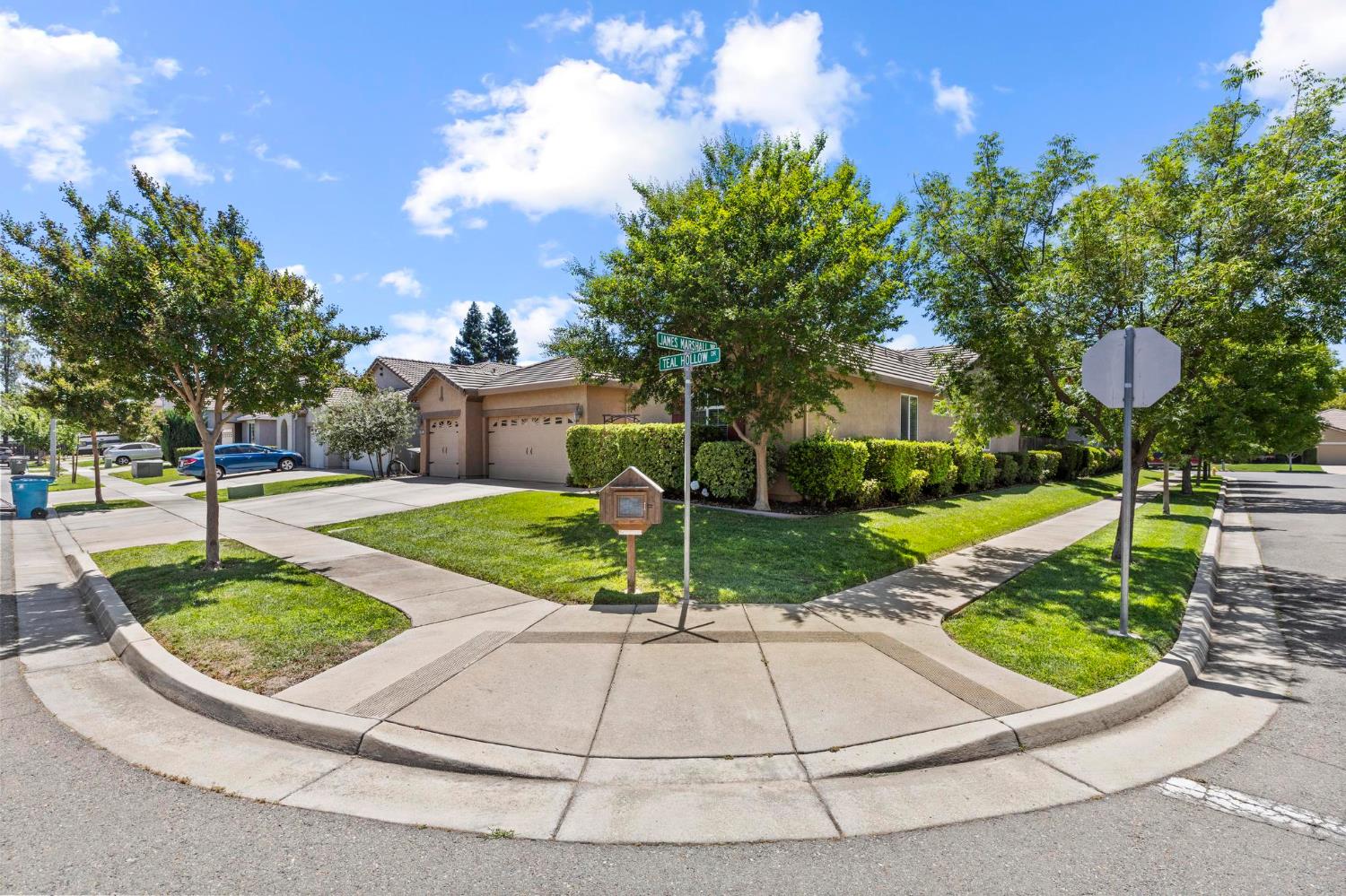 1191 Teal Hollow Drive