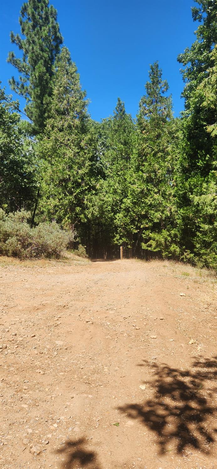 16949 Jones Ridge Road