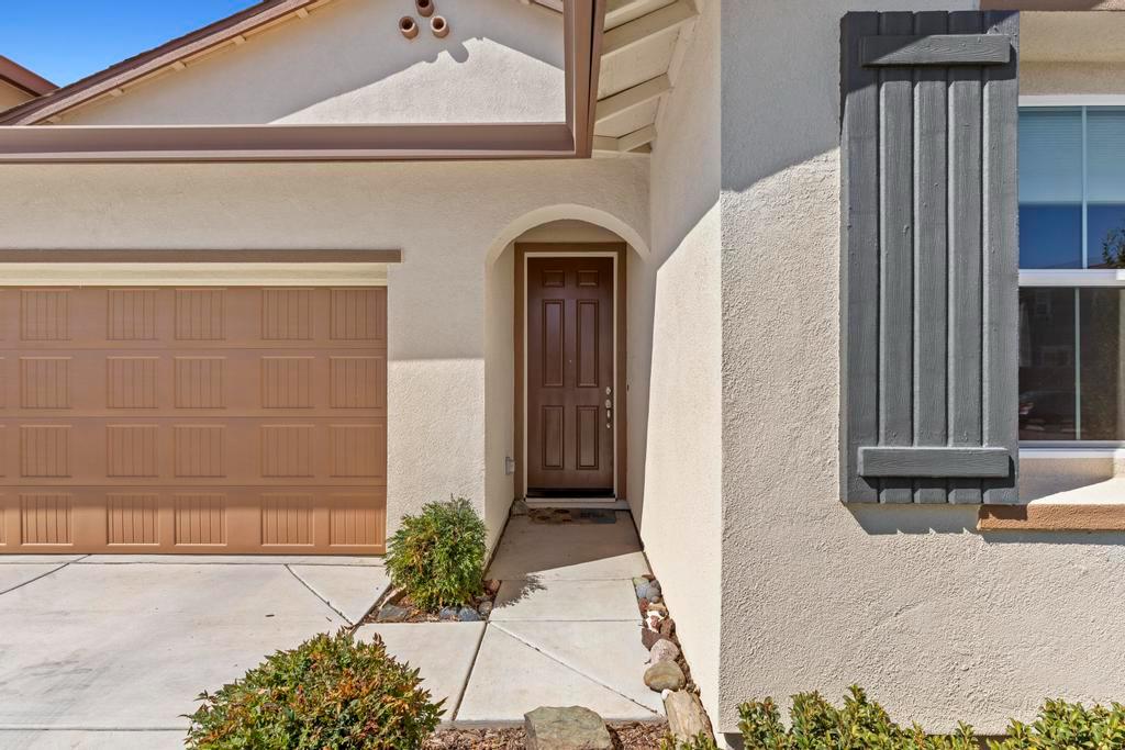 1555 Gelderlander Way