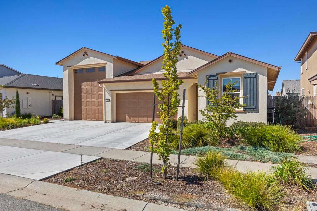 1555 Gelderlander Way