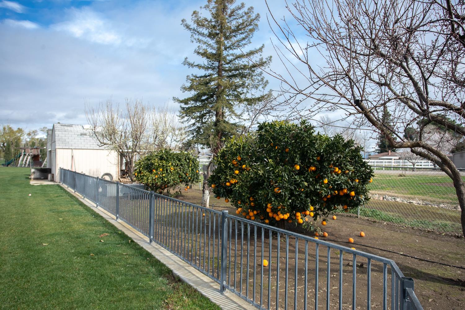 1559 Daphne Lane