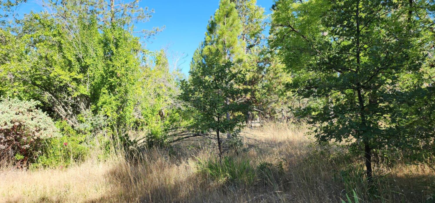 8671 La Porte Road