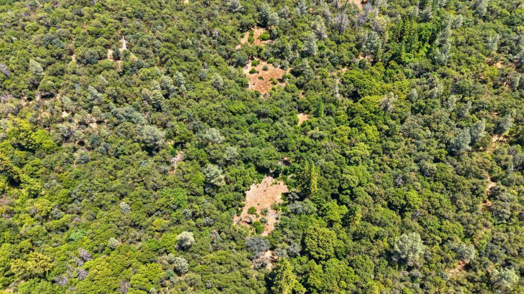 17109 Natchez Creek Road
