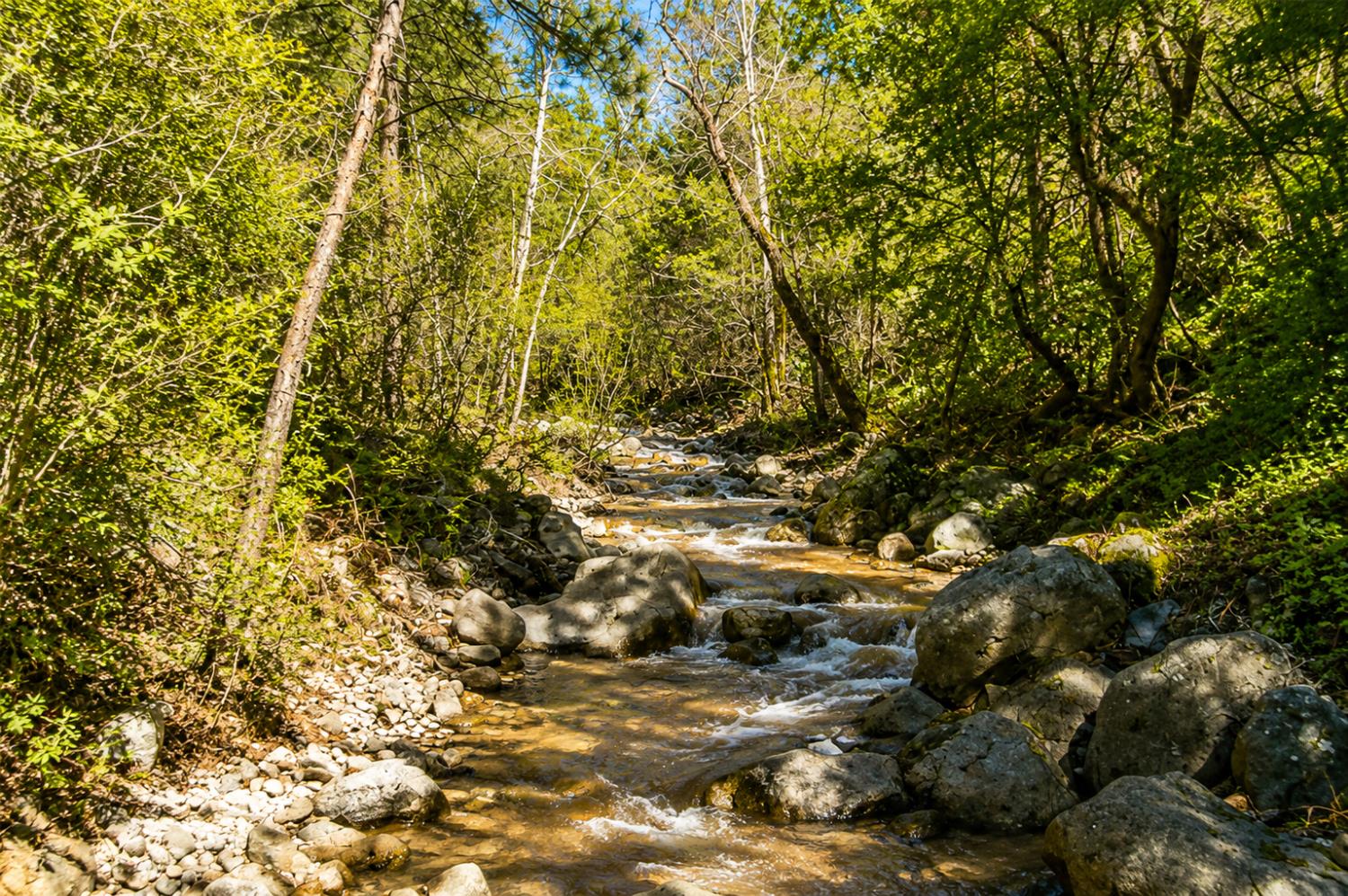 17109 Natchez Creek Road