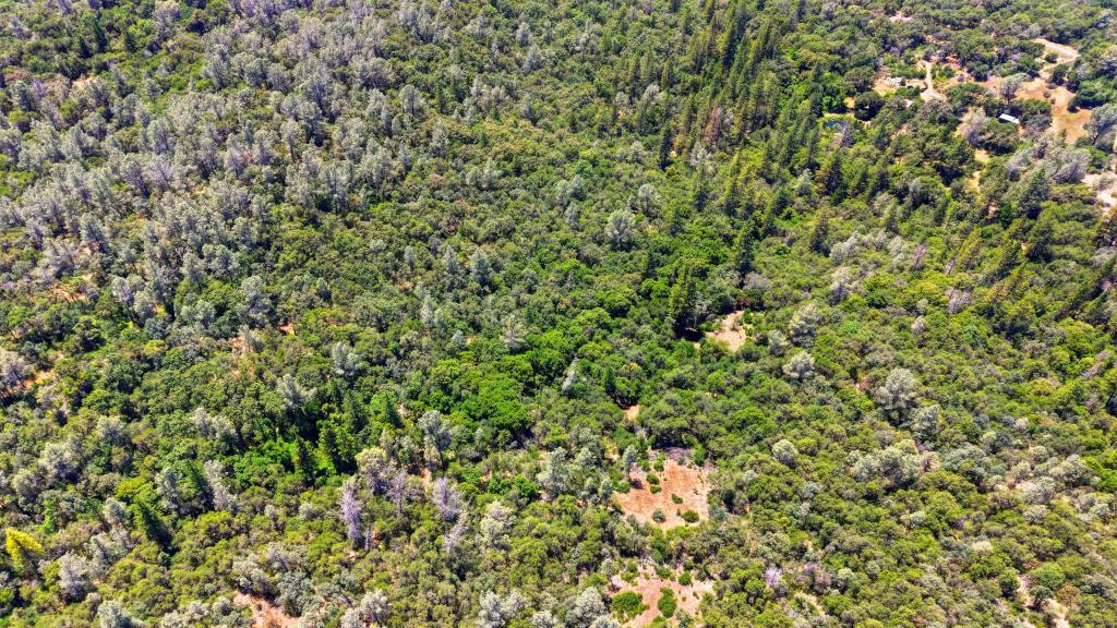 17109 Natchez Creek Road