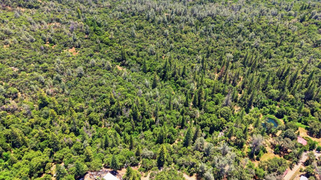 17109 Natchez Creek Road