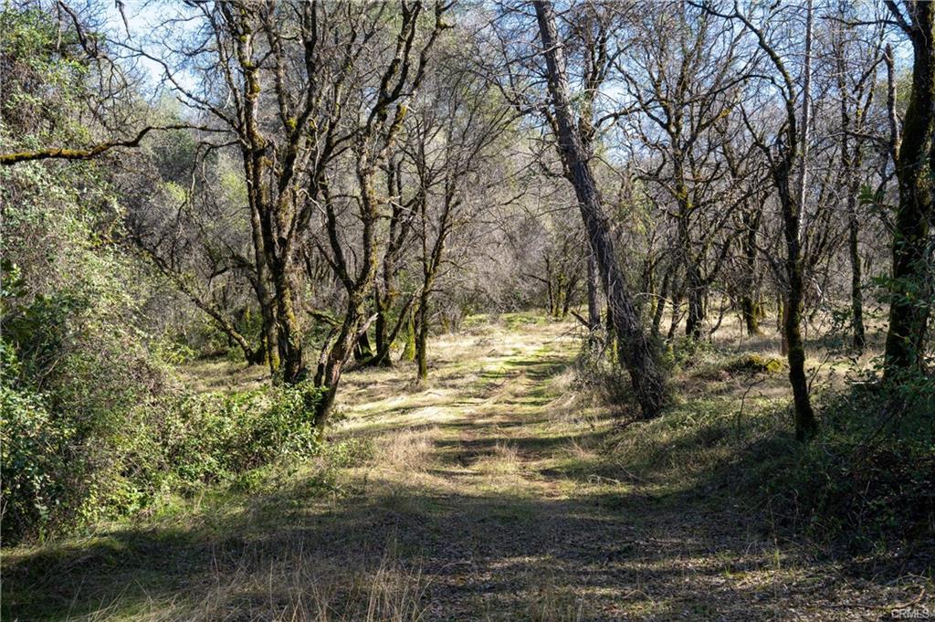 17109 Natchez Creek Road