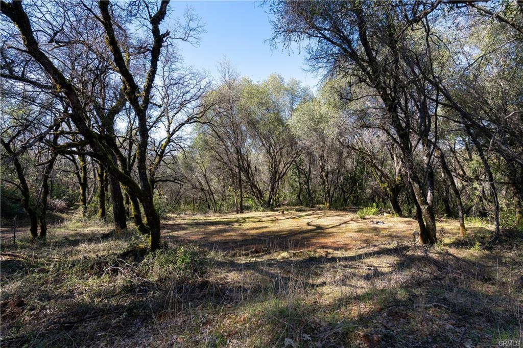 17109 Natchez Creek Road