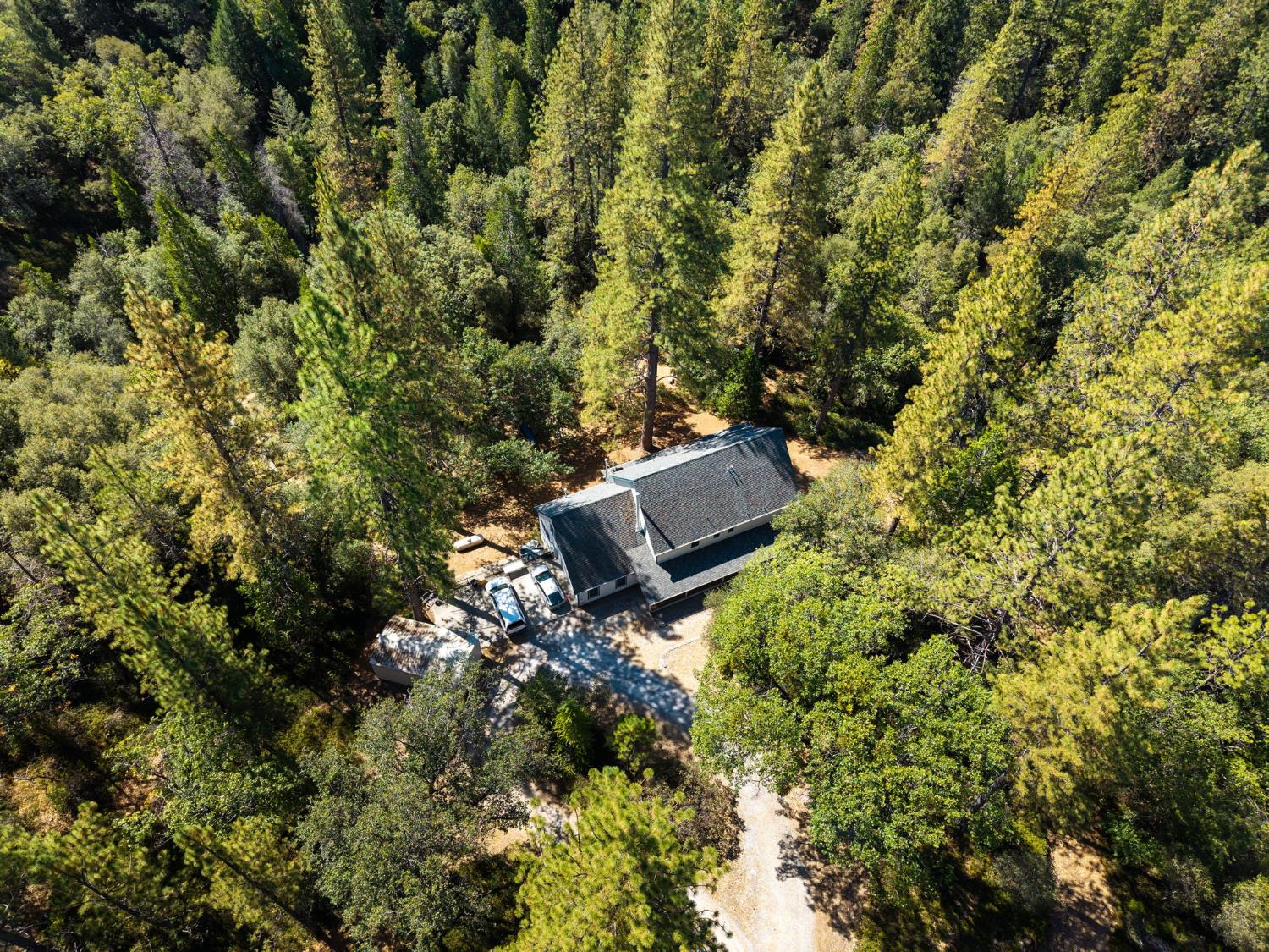 8161 Boondock Trail